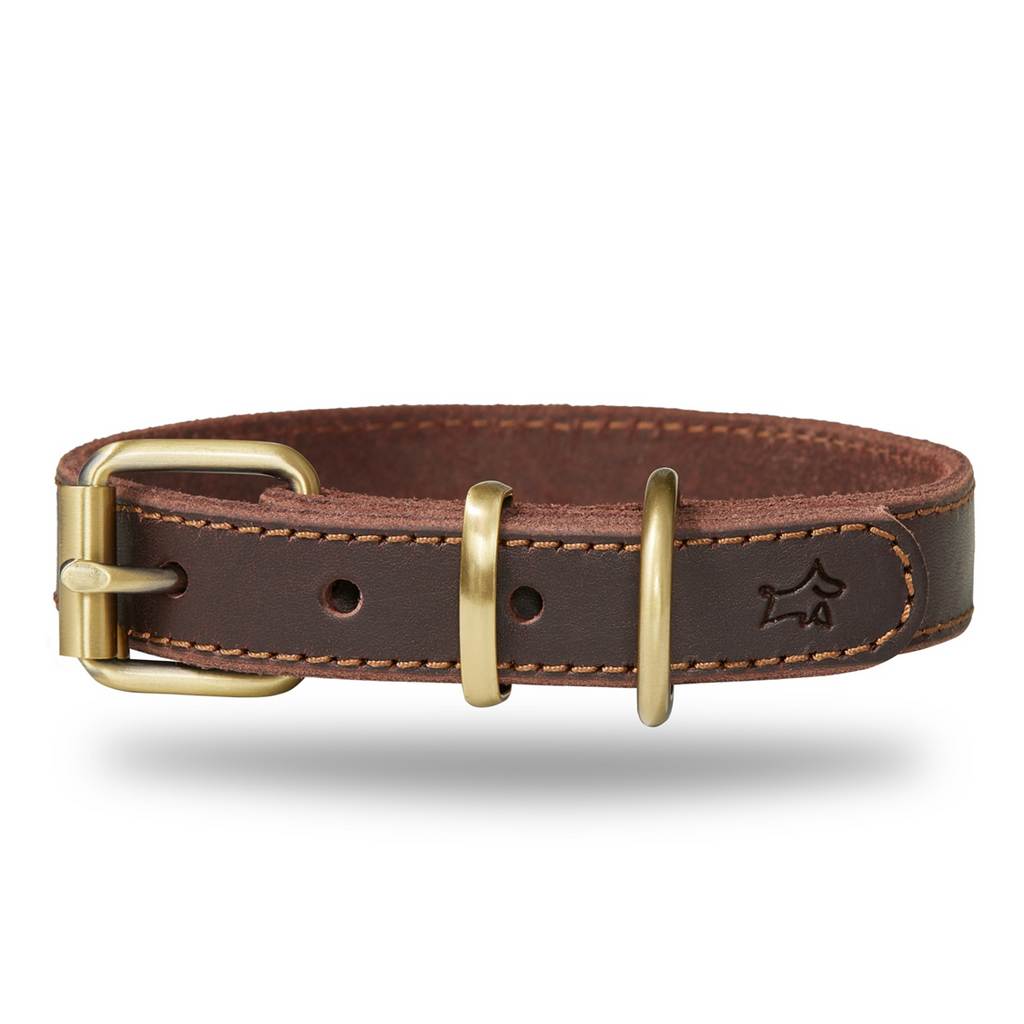 Hunde Lederhalsband Luna S