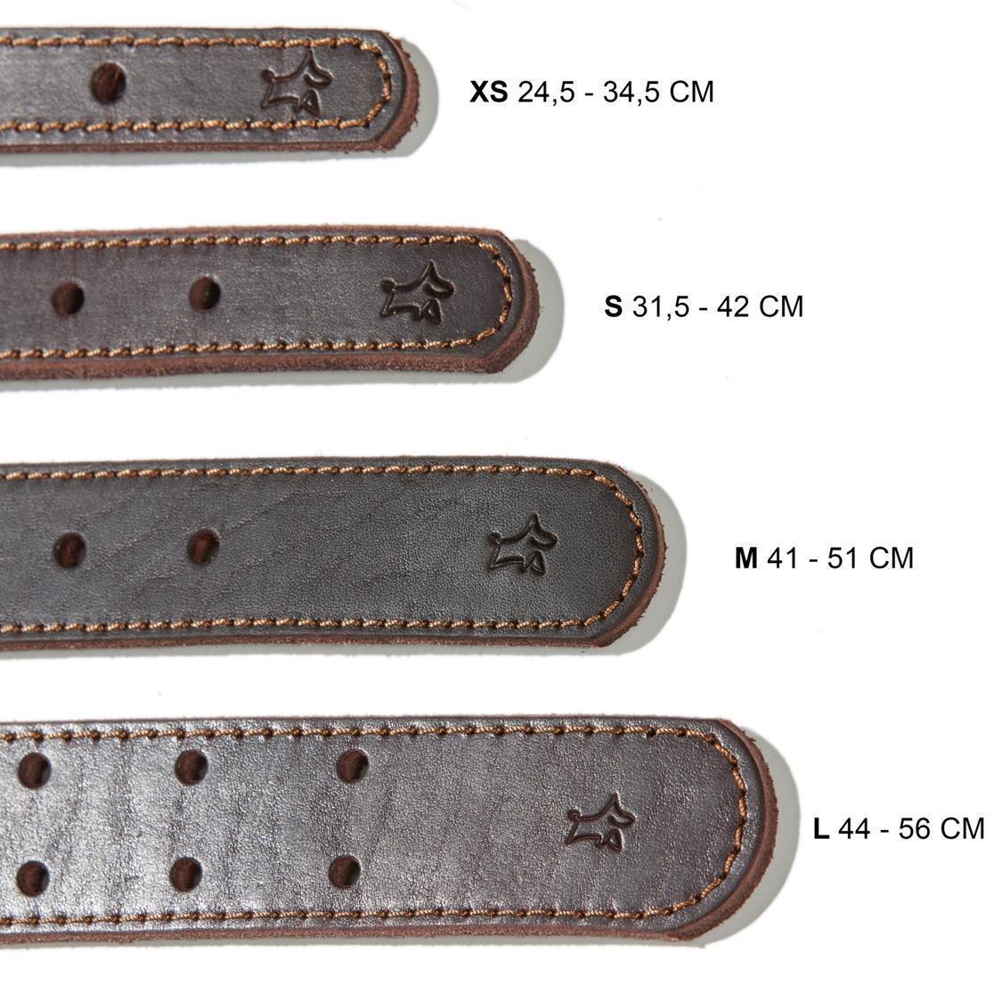 Hunde Lederhalsband Luna M